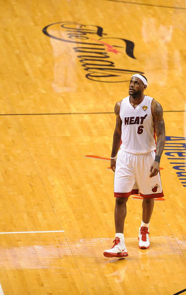 红人近日公 红人近日公